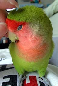 �����ƃT�[�r�X���Ă��ꂽ��ˁ`