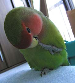 ���[���ς��V�Ԃ񂾂���I�܂̂�����ꂵ�Ȃ�����ˁ�