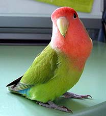 �������[�A�s�����Ⴄ�E�E�E�́E�E�E�ˁB�B