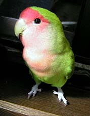 �ڂ��A�������Ȃ񂩂��ĂȂ�����I