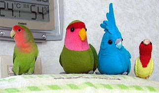 �݂�Ȃ��`�A�p�p�A���Ă�����`��