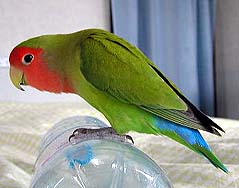 �������������ˁ`