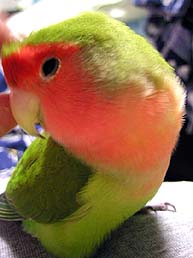 ������ҁA����ǂ����`