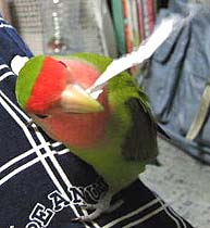 �ււց`�J�W�J�W�A����[���ł���`��