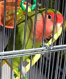 ��H�}�}�ǁ[�����́H