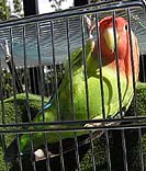 �h�{�A�����ς�����Ă�񂾁�