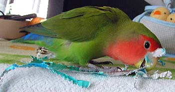 �K�W�K�W�A�Z�����`