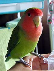 ���ׂ�ƕt���āA���o�|�������I