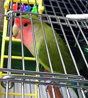 ������҂�A�h�L�h�L�H�v�X�h���C�u�B