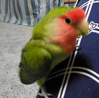 �����сA�X�b�L���`