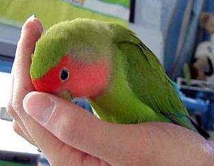 �J�L�J�L���Ă��������`