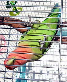 �҂҂҂҂҂��I