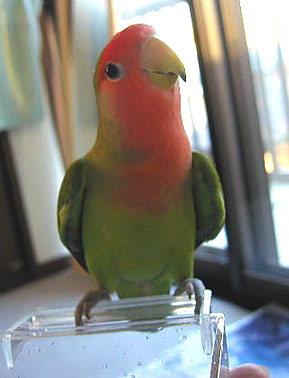 ���������A�����������I