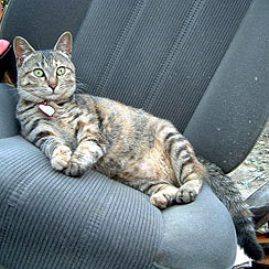 �������A�΂ꂿ��������I�I