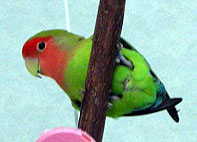 �}�}�A�ڂ�����܂肨������łȂ�����I