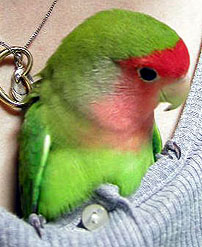 �݂�Ȃ̕��܂ŁA�}�}�Ƃ�������ɂ����I