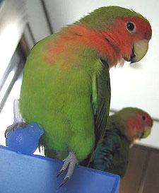 �Ȃ��ɂ��`