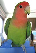 �����������ɂȂ����������I