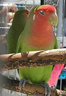 ��`�A���������Ȃ��`�B�B