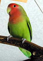 ��`�A�A�A�������̕������������Ȃ��B�B