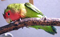 �ււցA�C�����悩������