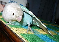 ������A���˂������̕����A����σO���}�[�ˁ`��