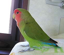 �������������ˁ`