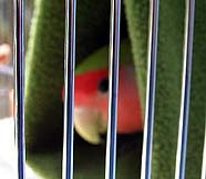 �����Ă��`�A�������ア����`