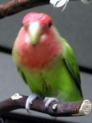 �����сA�C�������ˁ`