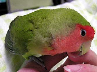 �܂܂��`�A�������������Ȃ��H