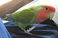 �~�������Ⴂ������������B