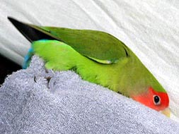 ���������Ł`�E�L�E�L�`��