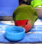 �{��Ȃ��Ă΂��`(^-^;