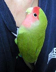 �܂܁A�S�z�����ăS�����ˁI