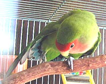 �́[�т��`�`�`