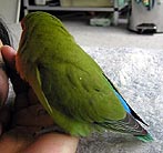 �܂܁`�˂�ˁA�˂�ˁ`