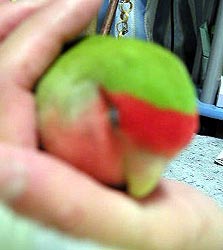 �ڂ����Ȃ񂾂���ꂿ��������`