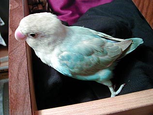 �������`��A���C���������H