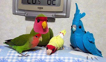 �ˁ[�A�݂�ȕ��������I�H