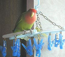 ���Ђ��܁A�o�Ă�������I