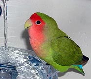 �����A�B��ꂿ��������I