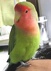 �܂܂��A�������[�撣���Ă�����������I