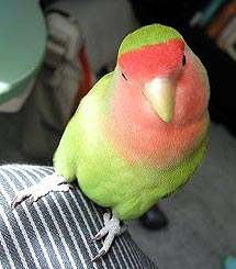 �����́A���������Ȃ��`�I