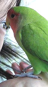 �}�}�A�����|�b�L������Ȃ��āA�悩�����ˁ�