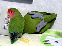 �������{���āA�������E�E�E(��;)