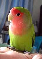 ���ƂP���ˁA�撣�����I