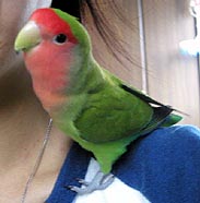 �����͊����悧�`�I