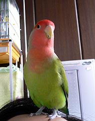 �����������Ȃ��Ă������`�I