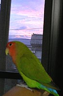 �����I�[���L���C���悧�`�I