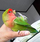 �܂܁A����������o���Ă��������`